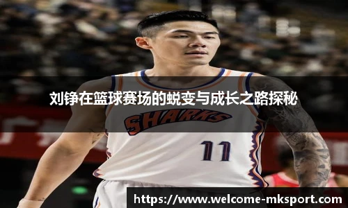 mk体育官方网站